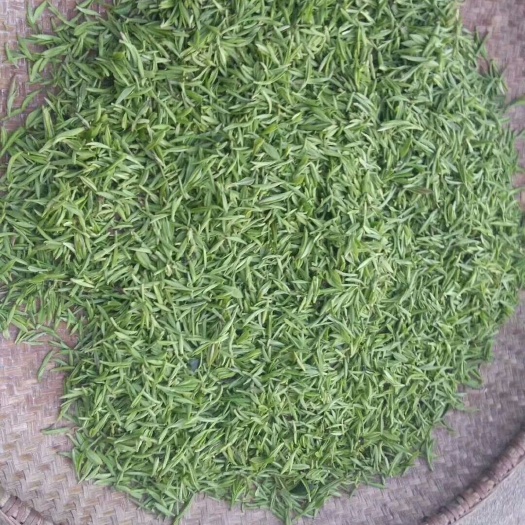 太湖县 绿茶野山绿茶
