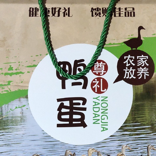 武义县 本人自家果园放养土鸭蛋，长期大量有货，可上门实地考察