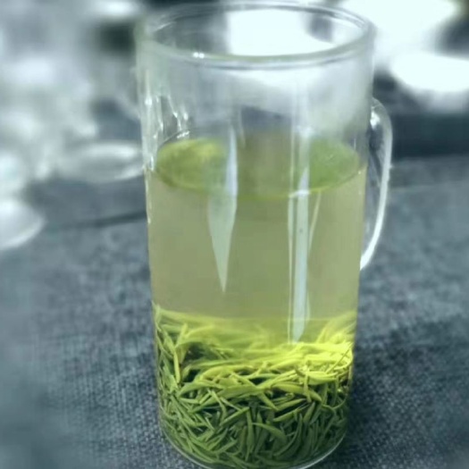 信阳 信阳毛尖明前茶