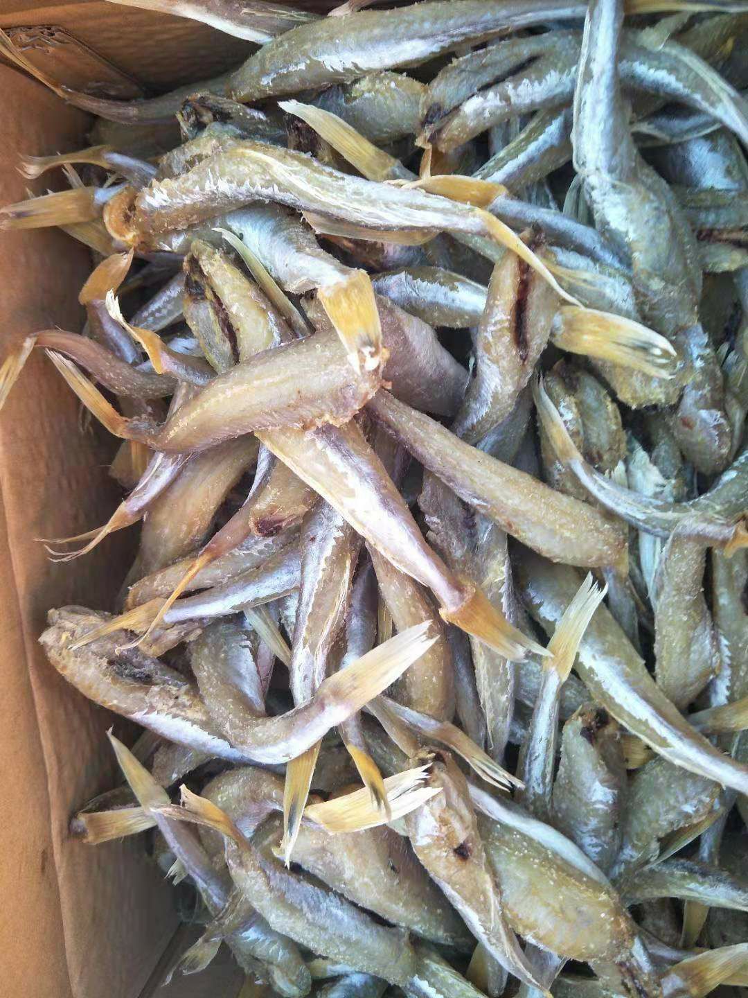 濱州 紅頭魚棍，咸魚