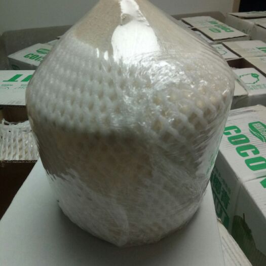 北京海椰子 处理价格货品不多预购从速