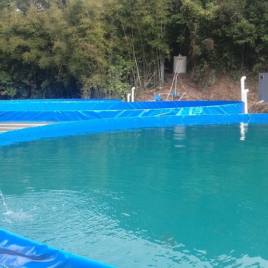 广州水产养殖网箱 高密度水产养殖池