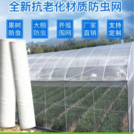 涟水县 防虫网大棚专用加厚蔬菜40目60目80目农用果树尼龙网罩青