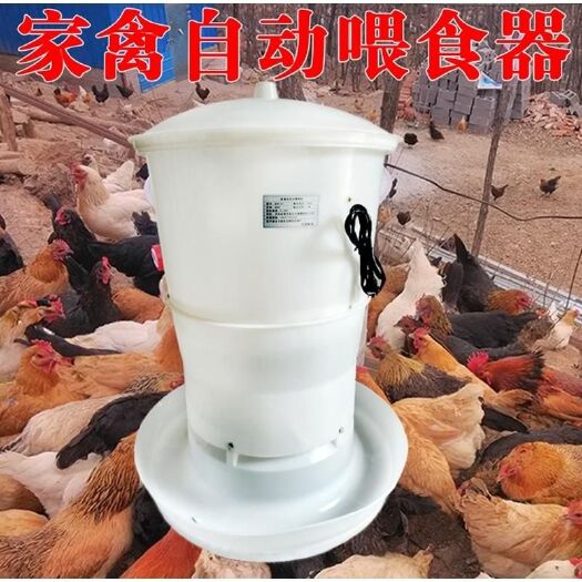 郑州喂料机 2019新一代鸡鸭全自动投料机 喂鸡方便 .喂食器投饵机