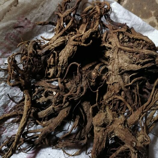 肉独活，走大货，