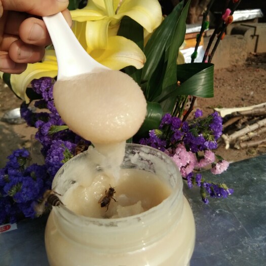 紫金县 土蜂蜜鸭脚木蜜冬蜜大量批发