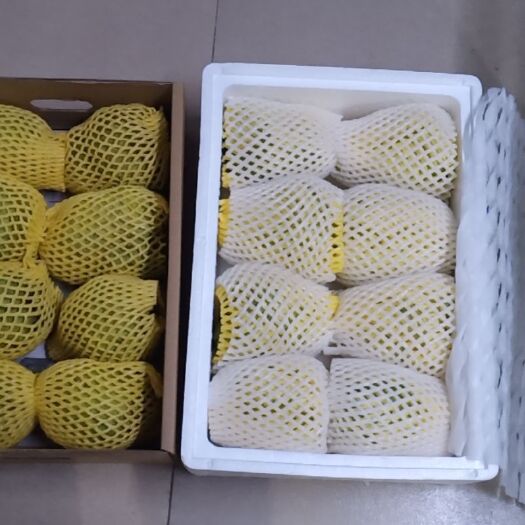 昌江县释迦 450-550g