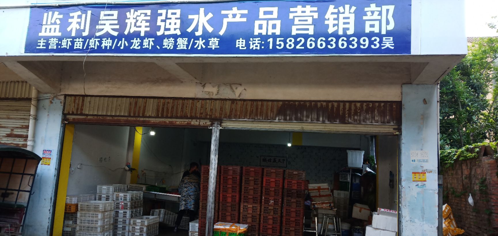 小龙虾苗  (80--120尾)小虾苗！現捞現发基地直供，