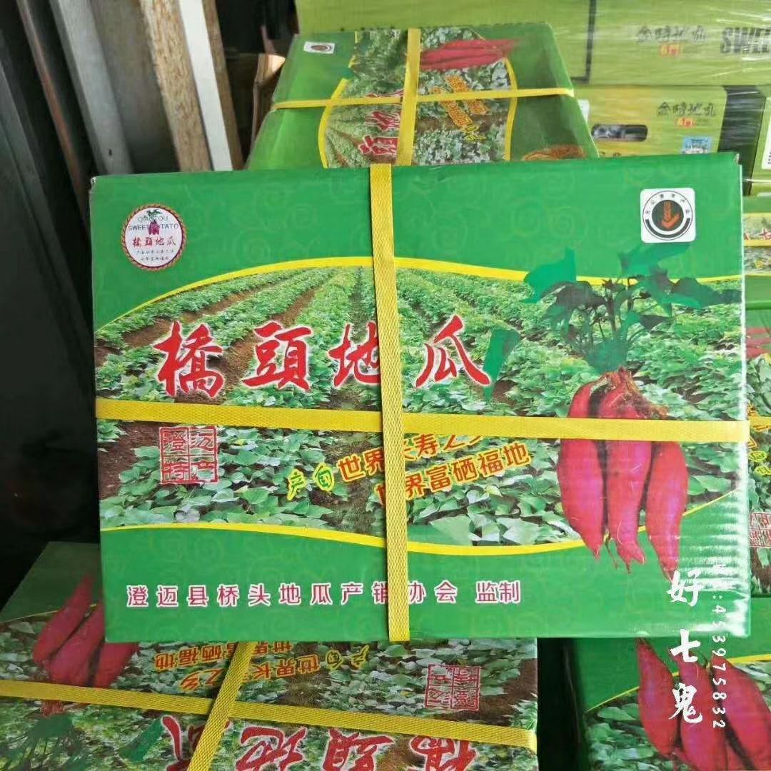 桥头地瓜 桥头富硒地瓜，长寿食品