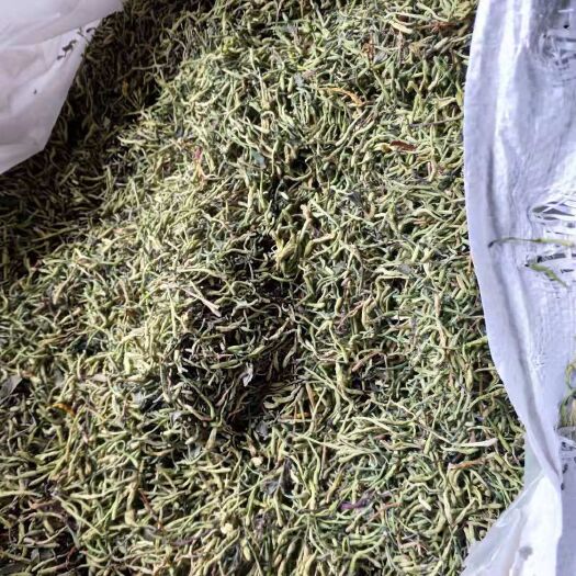 隆回县山银花 精品小米花，冷库储存。