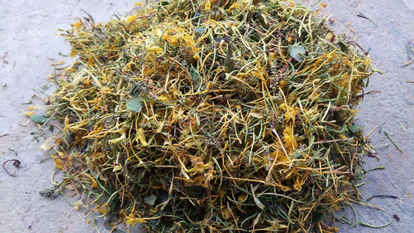 山银花  蒸汽五彩花，欢迎实地看货