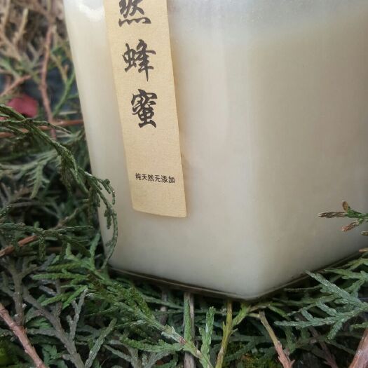 郑州土蜂蜜 山川异域
风雨同天