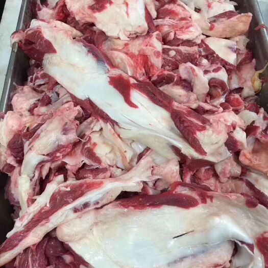 阳信县 牛肉筋