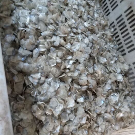 菏泽鱼鳞稻米 一等品 早稻 粳米