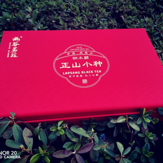 武夷山市武夷肉桂 幽谷茗骏礼品茶