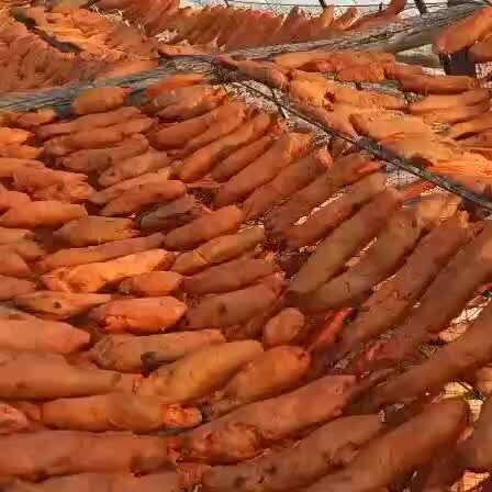 滦州市 地瓜干