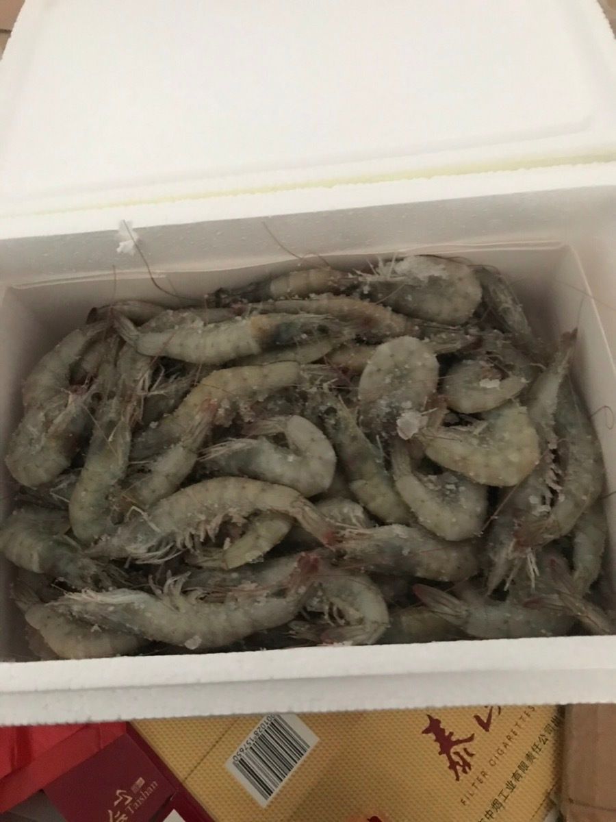 海麻虾 国内虾3海捕虾4斤起鲜虾活冻海鲜基围虾白虾青虾批发包