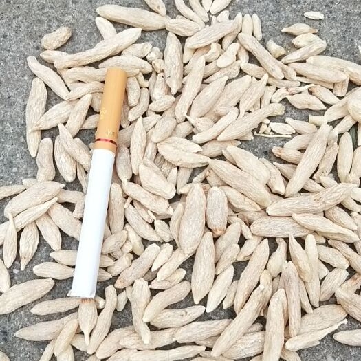 三台县新货麦冬上市