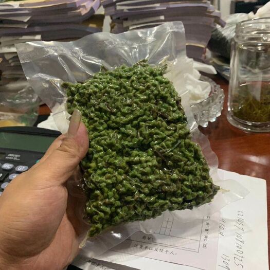 洪雅县 保鲜藤椒，保鲜花椒，新鲜花椒，新鲜藤椒