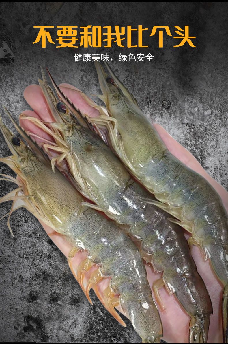 海麻虾 国内虾3海捕虾4斤起鲜虾活冻海鲜基围虾白虾青虾批发包