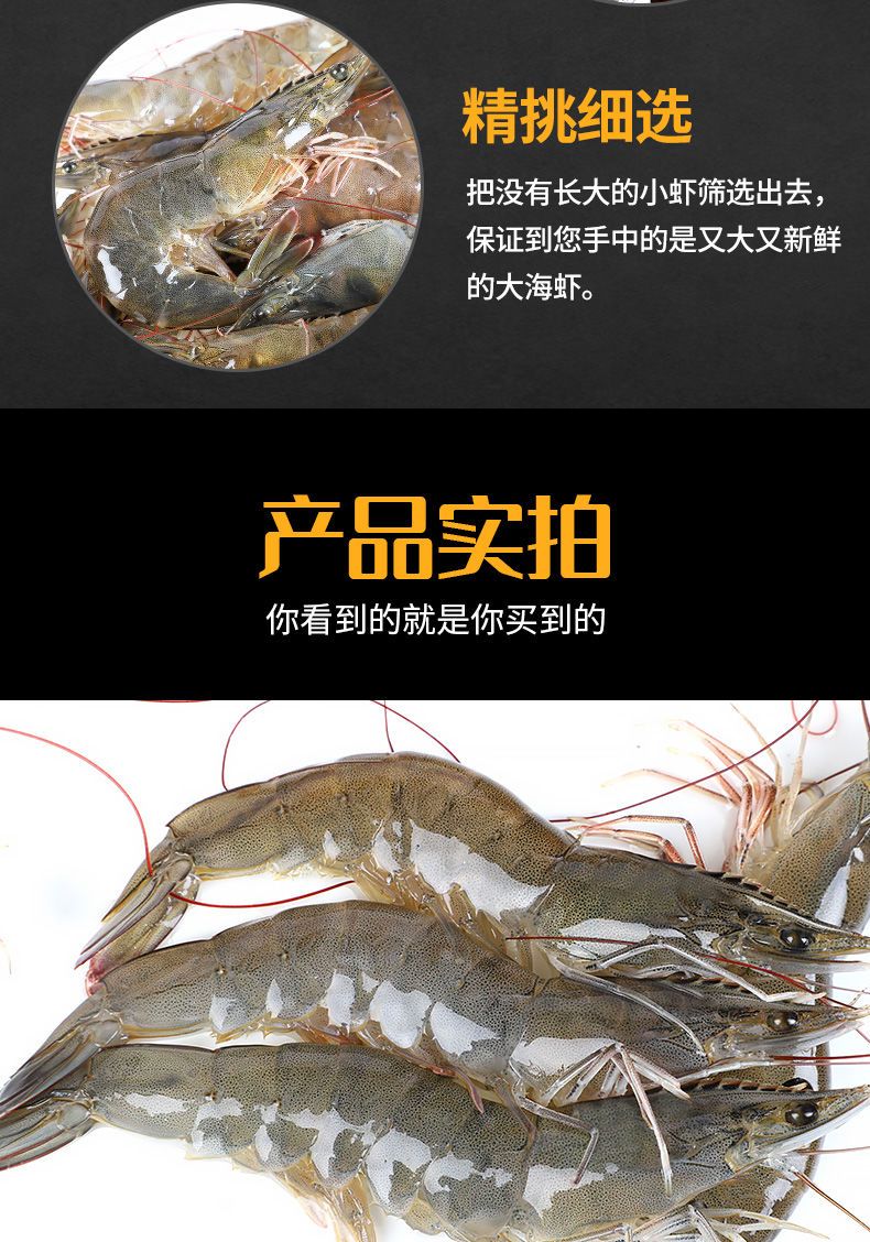 海麻虾 国内虾3海捕虾4斤起鲜虾活冻海鲜基围虾白虾青虾批发包