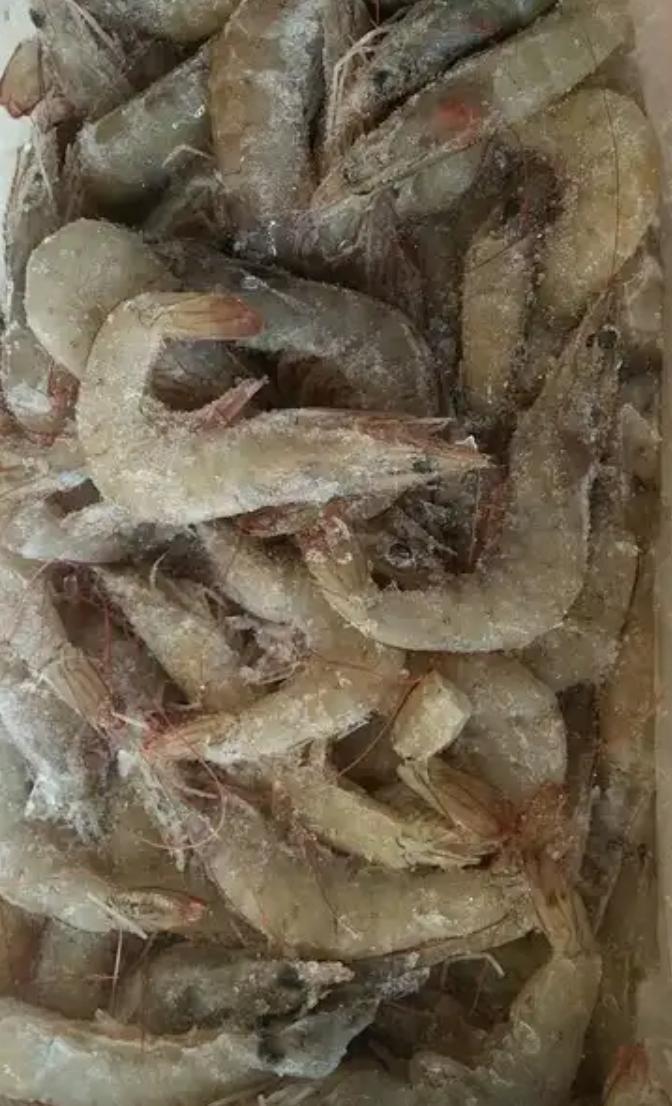 海麻虾 国内虾3海捕虾4斤起鲜虾活冻海鲜基围虾白虾青虾批发包