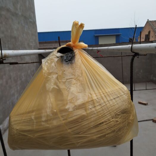 西华县大量批发各种挂面，天然小麦粉，自然凉干，剂