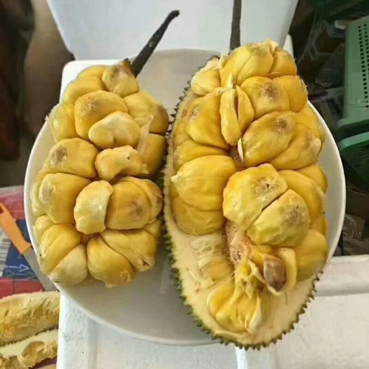 灵山县榴莲蜜树苗 榴莲蜜苗 菠萝蜜榴莲味
