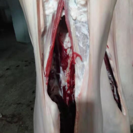 宁城县 内蒙鲜羊肉，纯草地羊！