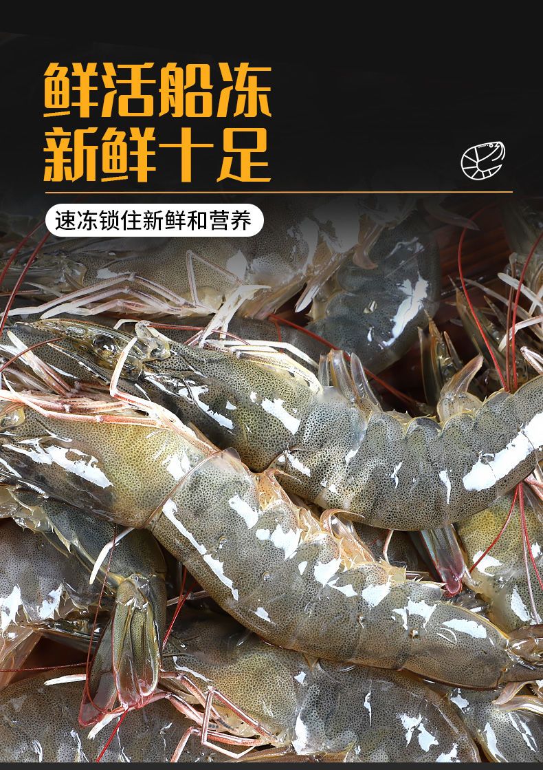 海麻虾 国内虾3海捕虾4斤起鲜虾活冻海鲜基围虾白虾青虾批发包