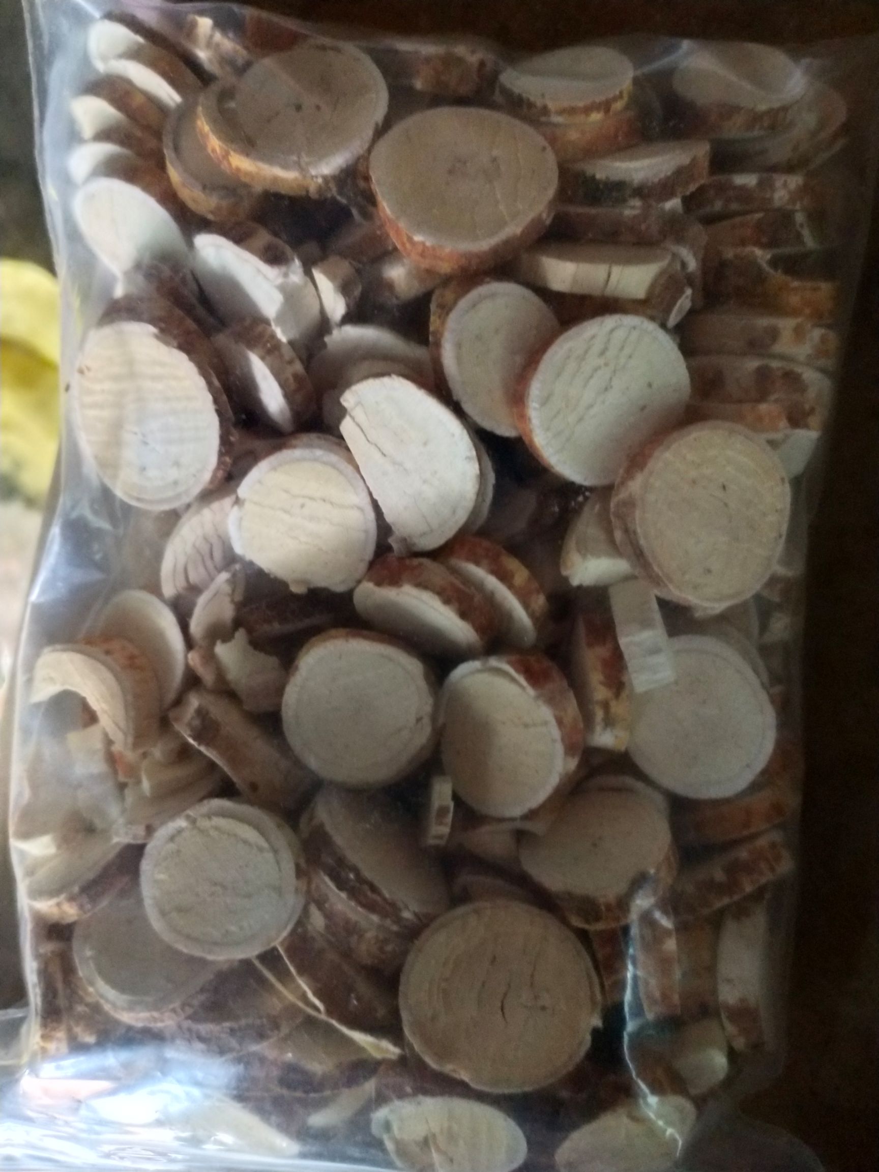  发财产品，资源紧缺无法满足，土茯苓苗