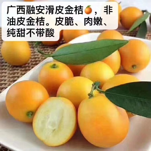 融安县 广西特产融安滑皮脆皮金桔当季新鲜水果10斤装現摘现发
