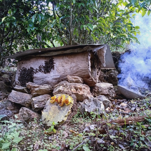 新平县良心土蜂蜜