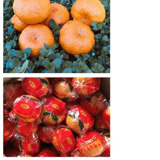 建瓯市 本人自家种植，细心耕种，已种植芦柑26年，保质保量。保质物