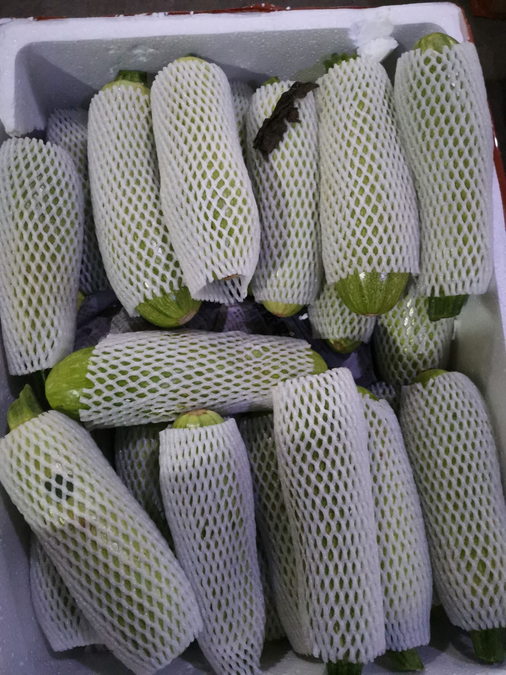 绿皮西葫芦 小瓜