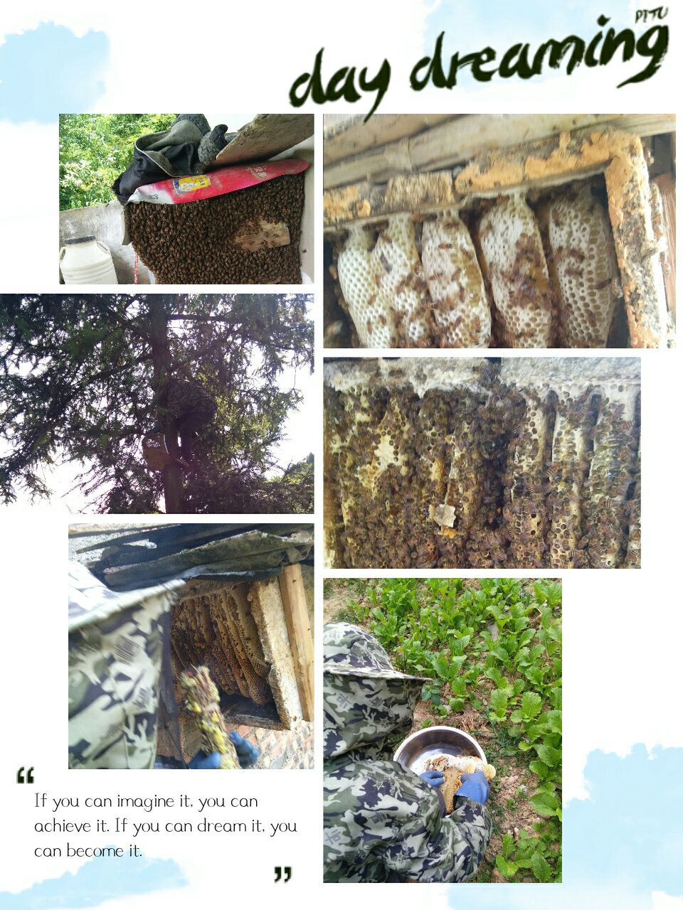 土蜂蜜  原香原味，滴滴纯香，