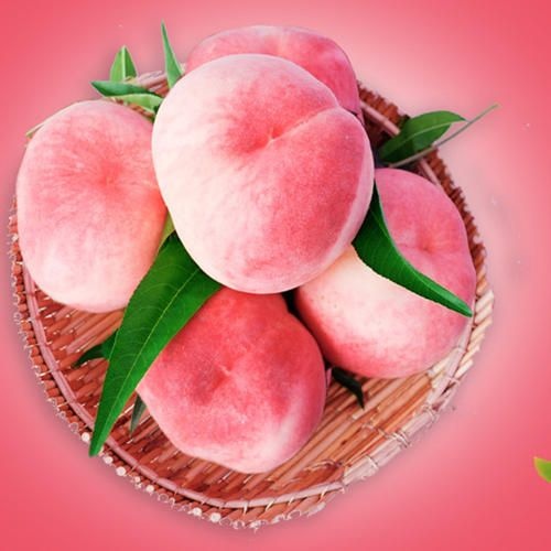 蒙阴县 山东蒙阴绿色高甜度蜜桃