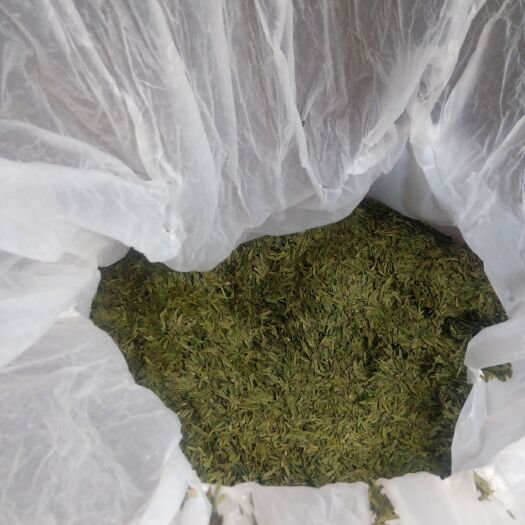 新昌县 无公害绿茶
