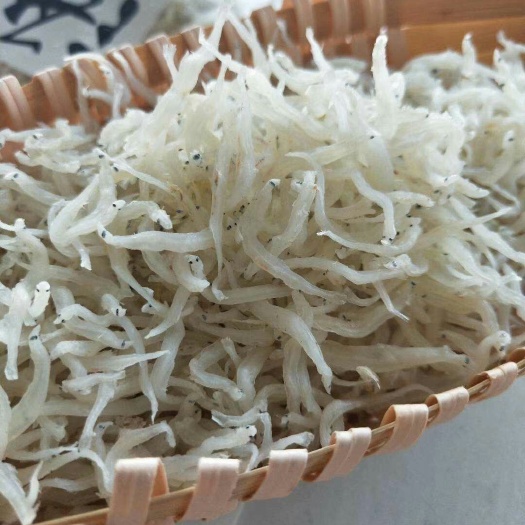 诏安县小银鱼 