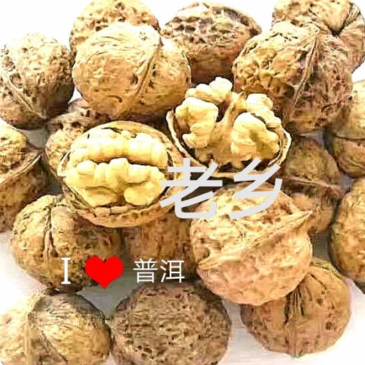 思茅 核桃