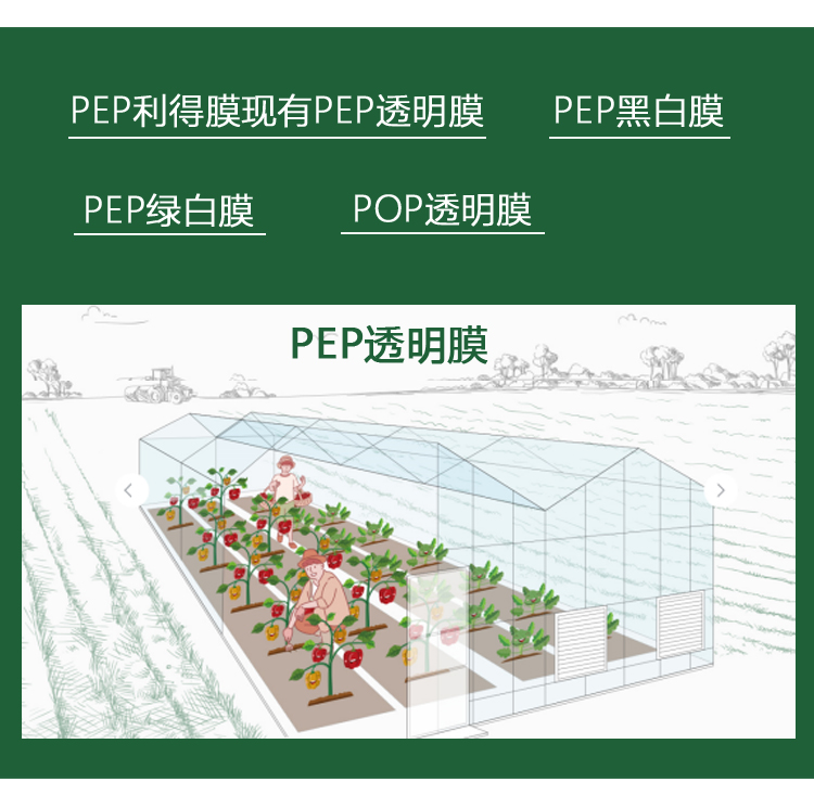 棚膜 薄膜长效流滴减雾膜。大棚薄膜。利得膜