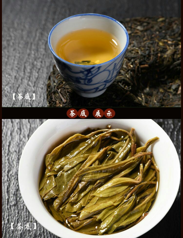  云南私藏冰岛普洱茶生饼357克纯料清香型甘甜圆润原产地直供
