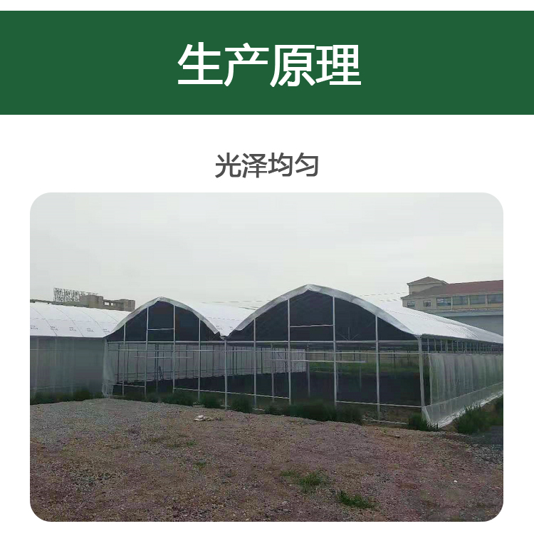  黑白膜利得膜温室大棚黑白膜