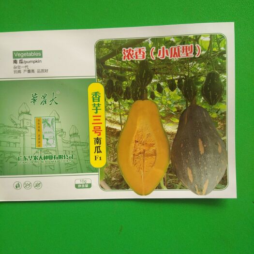 博罗县香芋南瓜种子 成品瓜香味浓郁，糯香可口！是居家美食及赠亲送友之佳品