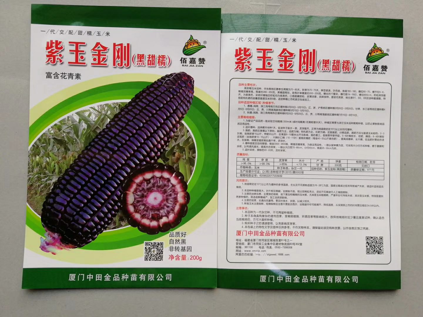 南靖县黑玉米种子 紫玉金刚