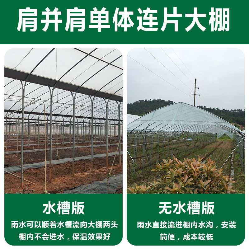 钢管大棚 单体连片单体棚连栋棚热镀锌钢管棚