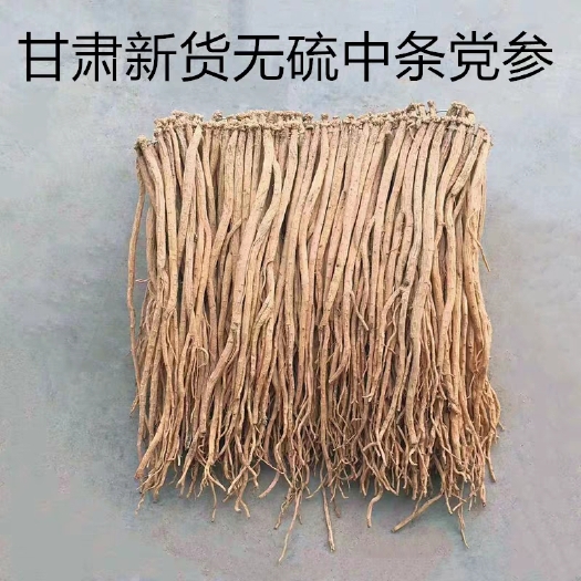 陇西县新货 无硫白条党参