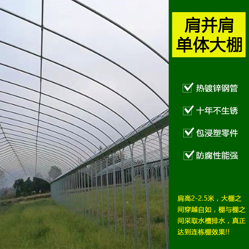 钢管大棚 单体连片单体棚连栋棚热镀锌钢管棚