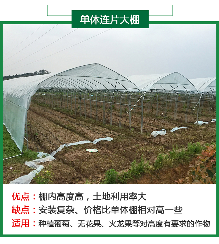 钢管大棚 单体连片单体棚连栋棚热镀锌钢管棚
