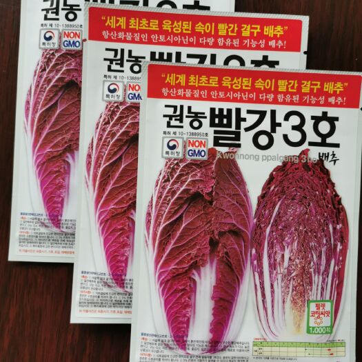 紫白菜种子  韩国原装1000粒